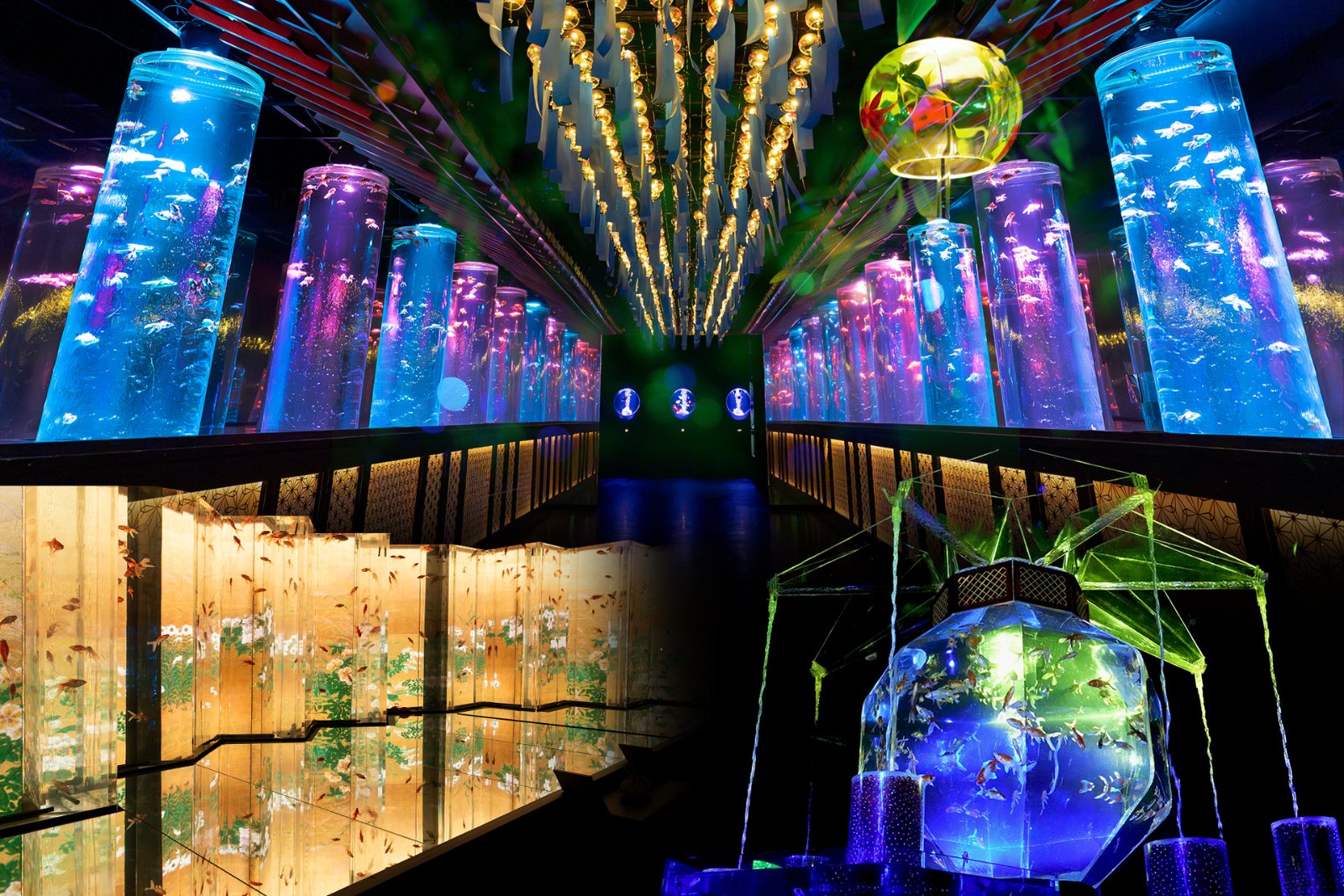 アートアクアリウム美術館 GINZA