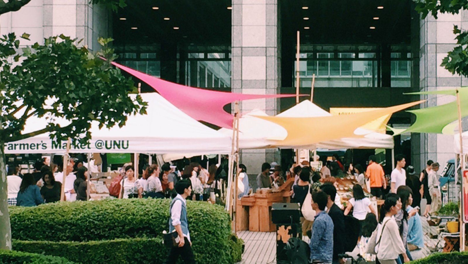 Farmers Market @UNU（青山ファーマーズマーケット）